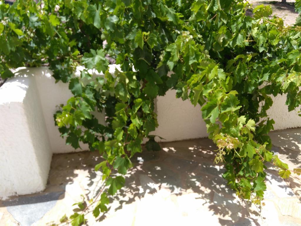 Grandes Apartments Kouremenos Palekastro Zewnętrze zdjęcie